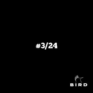 ¡HEY BIRD QUIERO ESE BEAT! #3
