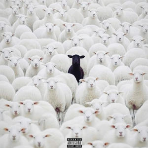 DuckSauce 4 Da Low (feat. Mudd Boy Scrilla) (Live|Explicit)