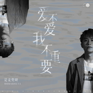 爱不爱我不重要封面