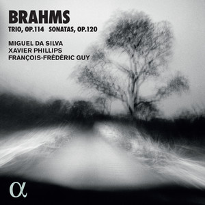Viola Trio in A Minor, Op. 114 - Viola Trio in A Minor, Op. 114: I. Allegro