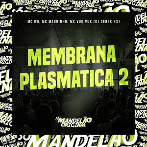 Membrana Plastmatica 2