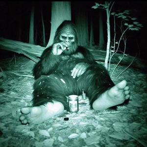 Punch me in (feat. Brookz loww & Bge Trell) (Explicit)