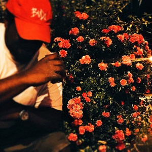 Fake Love (Explicit)