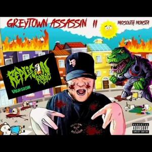 Greytown Assassin 2 (Replicon Radio Version) [Explicit]