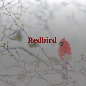 Redbird