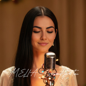 Crăciunul Fără Tine