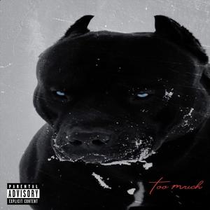 Too Much (Explicit)