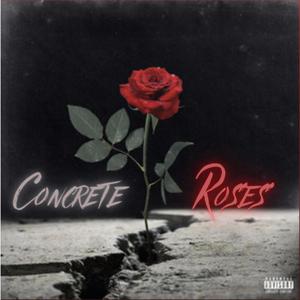 Concrete Roses