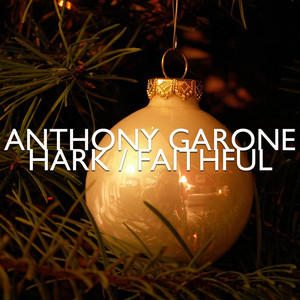 Hark! the Herald Angels Sing / O Come All Ye Faithful(Feat. Rob Müller)