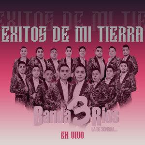 Se mamo el becerro (En Vivo)