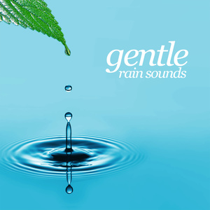 Gentle Rain Sounds