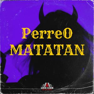 Perreo Matatan