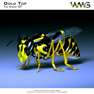 The Hornet (Original Mix)