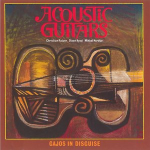 Acoustic Guitars - Gajos in Disguise