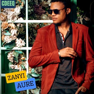 Zanyi Aure