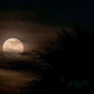 El Límite Es el Cielo (Explicit)