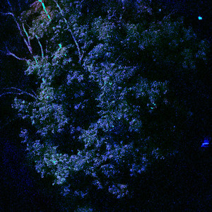 До утра (Explicit)