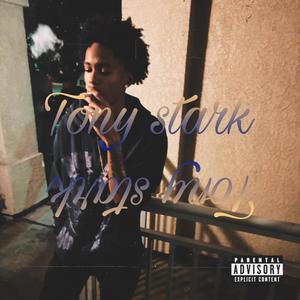 Tony Stark (Explicit)