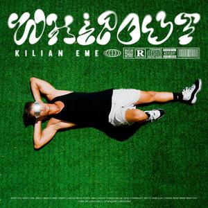 Whip Out (feat. Killprods) (Explicit)