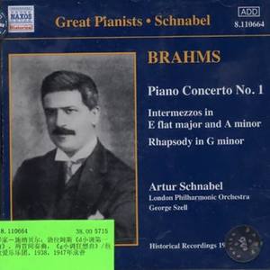 Piano Concerto No. 1 In D Minor, Op. 15: I. Maestoso