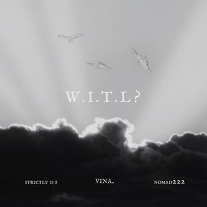 VINA. - W.I.T.L? (feat. Strictly D.T & Nomad222)