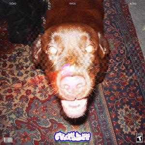 CRAYZEE (feat. Téčko) (Explicit)