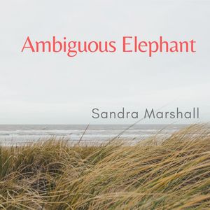 Ambiguous Elephant