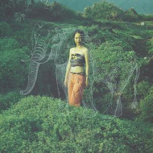 The Elephant Song(feat. Ánnámáret & Baridi Baridi) (Explicit)