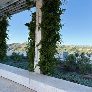 Ones On My Wall (feat. Gwendolyn Rose)