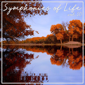 Organ Concerto No. 1 In F Major, Op. 137 - Maestoso