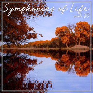 Symphonies of Life, Vol. 30 - Rheinberger Organ; Concertos Ops. 137 & 177