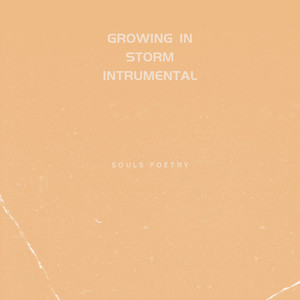 Growing in Storm (Instrumental)