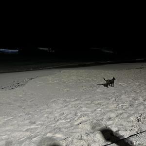 je sais plus (Explicit)