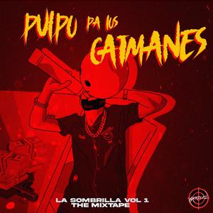 PULPO PA LOS CAIMANES (feat. SOMBRA PR) [Explicit]