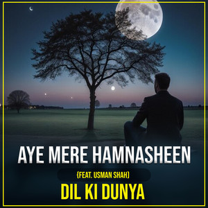 Aye Mere Hamnasheen