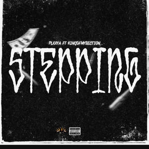 Stepping (feat. KingOfMySection) [Explicit]