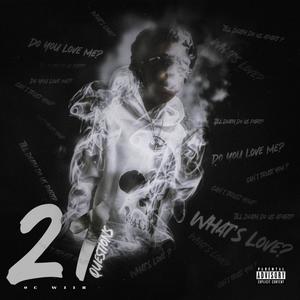 21 Questions (Explicit)