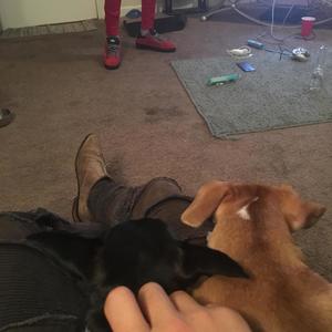 Trill LEaGuE (Explicit)