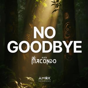 No Goodbye (Extended)