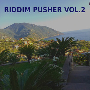 Riddim Pusher, Vol. 2 (Explicit)