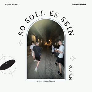 so soll es sein (feat. Lukas Assume) [Explicit]