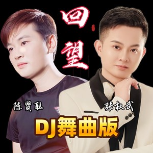 回望 (DJ舞曲Live版)