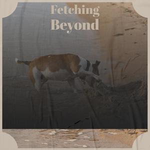 Fetching Beyond