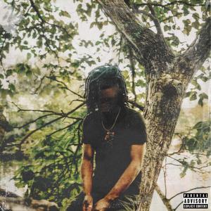 Seen(feat. 24.) (Explicit)