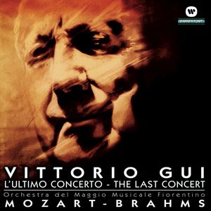 Brahms: Symphony No. 4 in E Minor, Op. 98 - II. Andante moderato