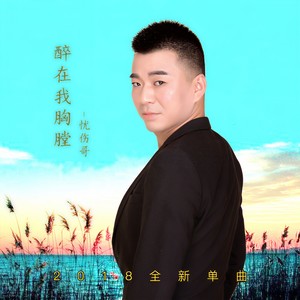 醉在我胸膛