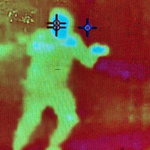 DND (feat. ZP, Walkz, C2G & fil3p) (Explicit)