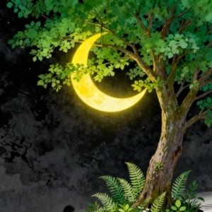 追光者 (Jennie版)