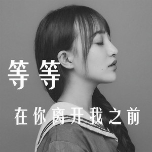 等等 - 在你离开我之前 (伴奏)
