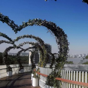 钢琴音乐传统诗人 - 轻音乐治愈钢琴曲 (风铃)